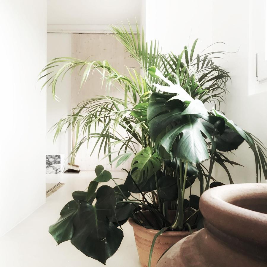 Casasuul Alvor Appartement Buitenkant foto